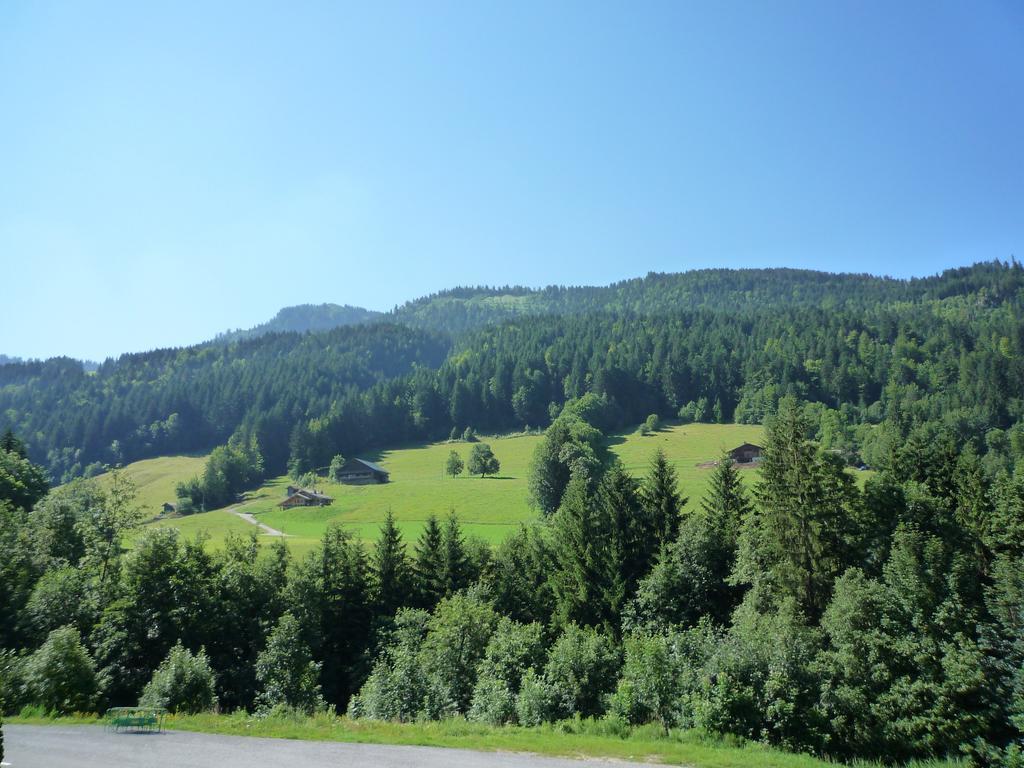 Aravis Locations Apartment Le Grand-Bornand Exterior foto